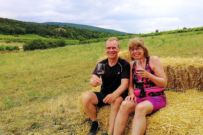 Private Vienna Woods Wine Tour - Stop 2 in Gumpoldskirchen: lunch, a winemaker-led tasting, and real questions
