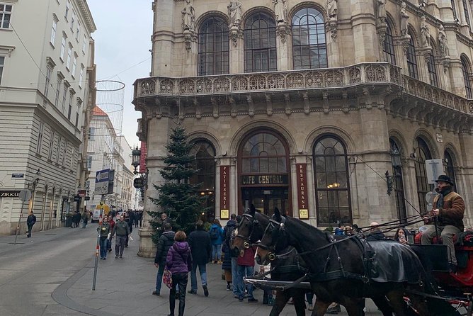 Private World War II Walking Tour in Vienna - Pickup Options and Getting There Smoothly