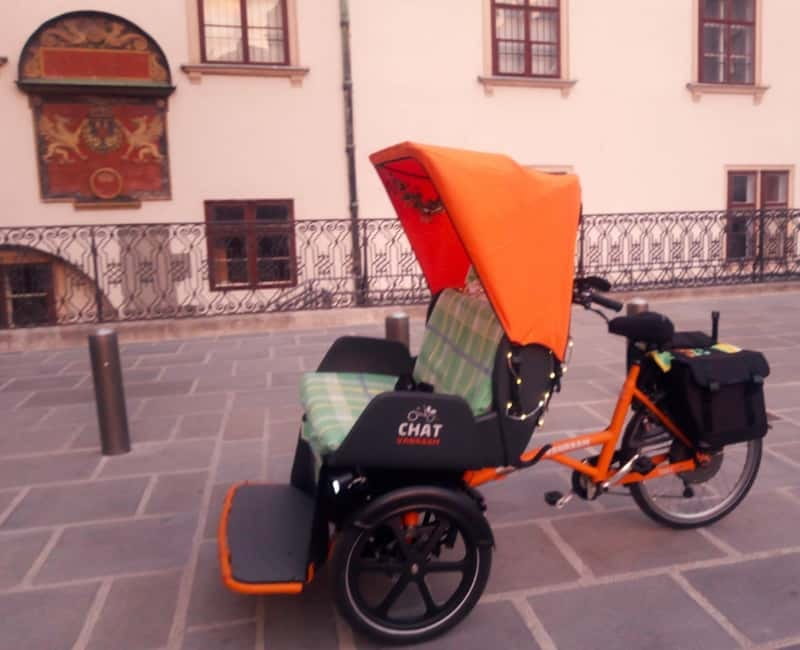 RAXI (Electric Rickshaw) Vienna Tours with two options - Key things to know before you ride