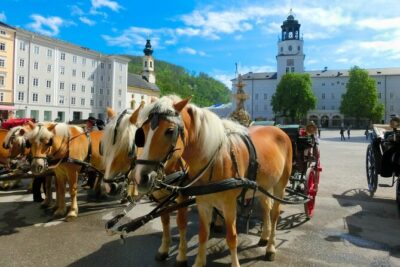 Salzburg and Lake Region Private Day Trip from Vienna - Lake Wolfgang: the 25-minute photo stop that still feels worth it