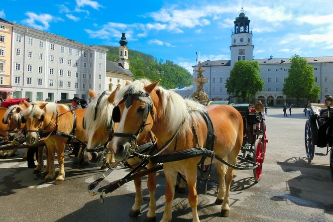 Salzburg and Lake Region Private Day Trip from Vienna - Lake Wolfgang: the 25-minute photo stop that still feels worth it