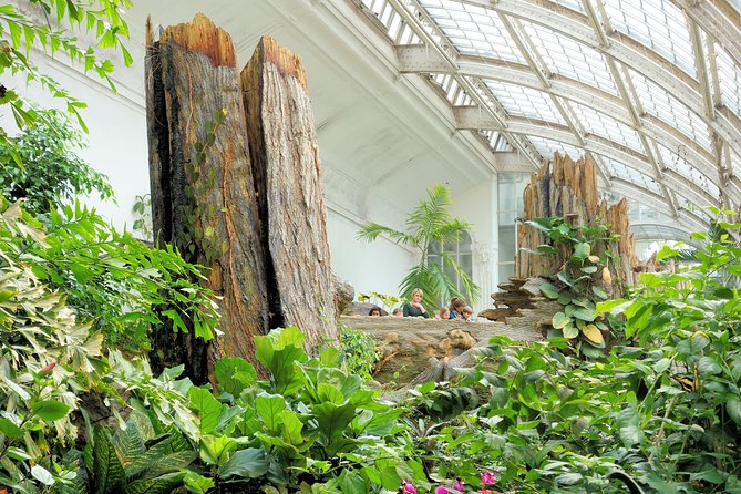 Schmetterlinghaus - Imperial Butterfly House Vienna Admission Ticket - Schmetterlinghaus at the Hofburg: a tiny stop with a big visual payoff