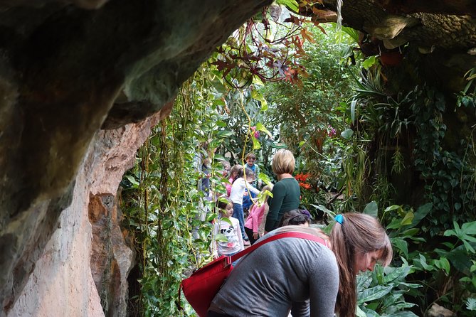 Schmetterlinghaus - Imperial Butterfly House Vienna Admission Ticket - Ticket value: $13.14 versus buying on-site