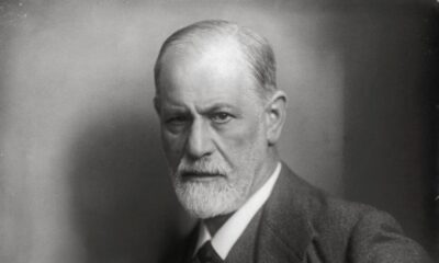 Sigmund Freud Museum Ticket - The private rooms: where work met daily life