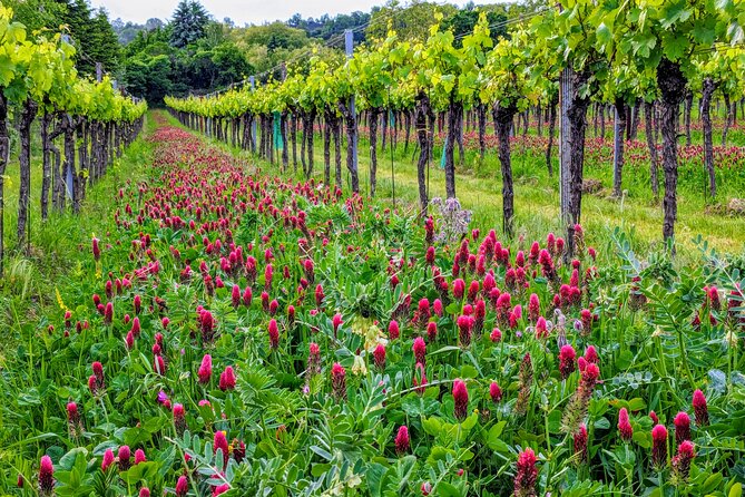Small-group Vienna Wine Tour - Heuriger Visit: How Vienna’s Wine Tradition Gets Explained in Real Time