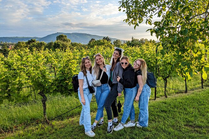 Small-group Vienna Wine Tour - The Tasting Experience: What to Expect and How to Make It Worth It
