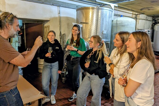 Small-group Vienna Wine Tour - Price and Value: Is $137.75 a Good Deal?