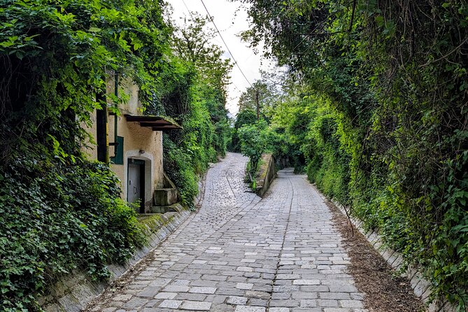 Small-group Vienna Wine Tour - Weather, Outdoors, and the One Thing You Should Plan For