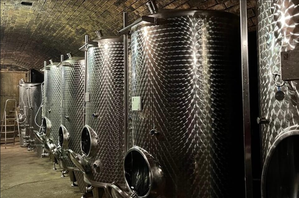 Taste and Tour Small Organic Wineries with a Winemaker - Who this tour suits best (and who should choose differently)