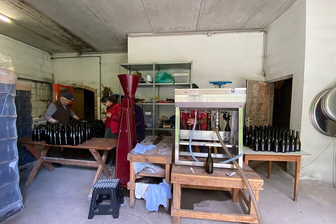Taste and Tour Small Organic Wineries with a Winemaker - A winemaker’s Lower Austria day, built around real places