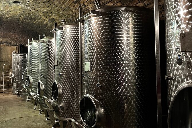 Taste and Tour Small Organic Wineries with a Winemaker - Two more wineries, each with its own cellar personality