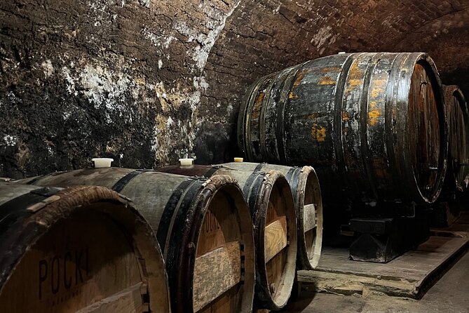 Taste and Tour Small Organic Wineries with a Winemaker - Tastings with cheese: a simple way to learn flavor faster