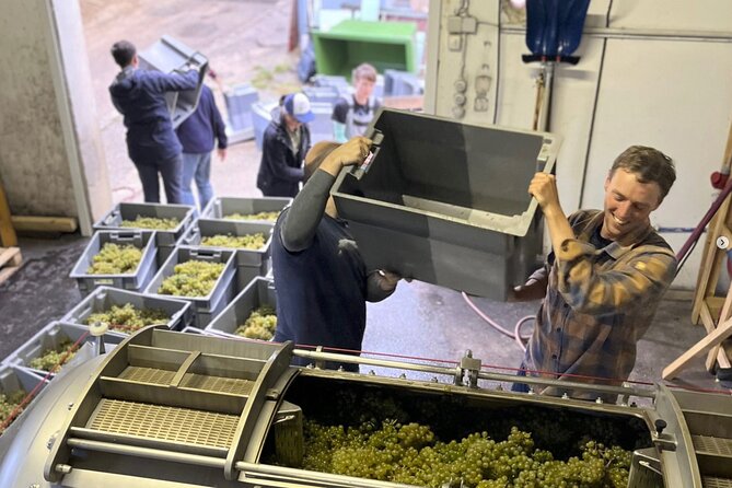 Taste and Tour Small Organic Wineries with a Winemaker - What “organic” means here (and why it changes the tasting)