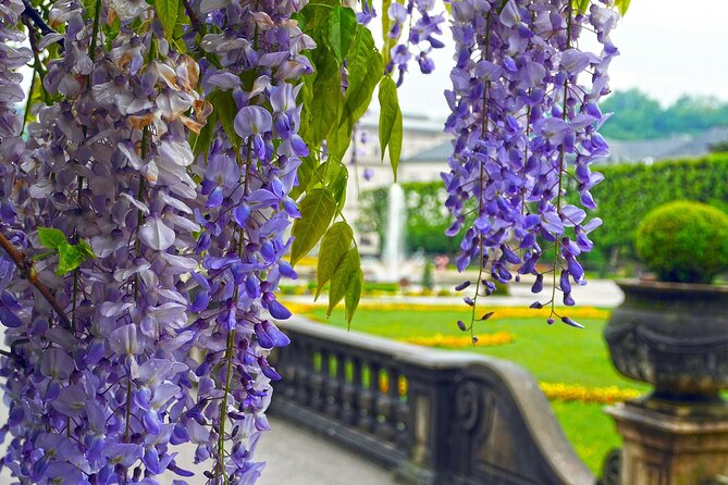 Transfer from Vienna to Salzburg with 2 hours for sightseeing - Choosing Between Hallstatt, Sankt Gilgen, Melk, Dürnstein, and Mauthausen