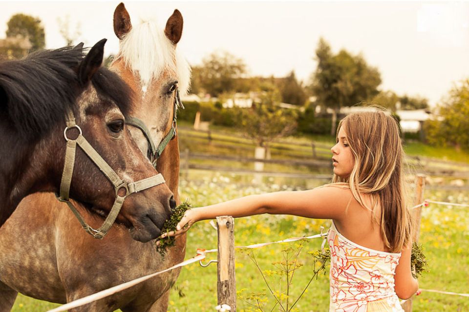Vienna 1- or 2-Hour Professional Photo Shoot - Key points worth knowing before you book