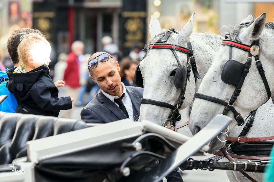 Vienna: 30-Minute Fiaker Ride in the Old Town - How the guide turns a simple ride into something memorable