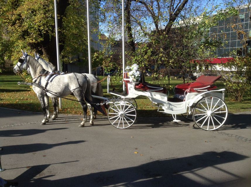 Vienna: 30-Minute Fiaker Ride in the Old Town - Should you book this 30-minute Fiaker ride in Vienna’s Old Town?