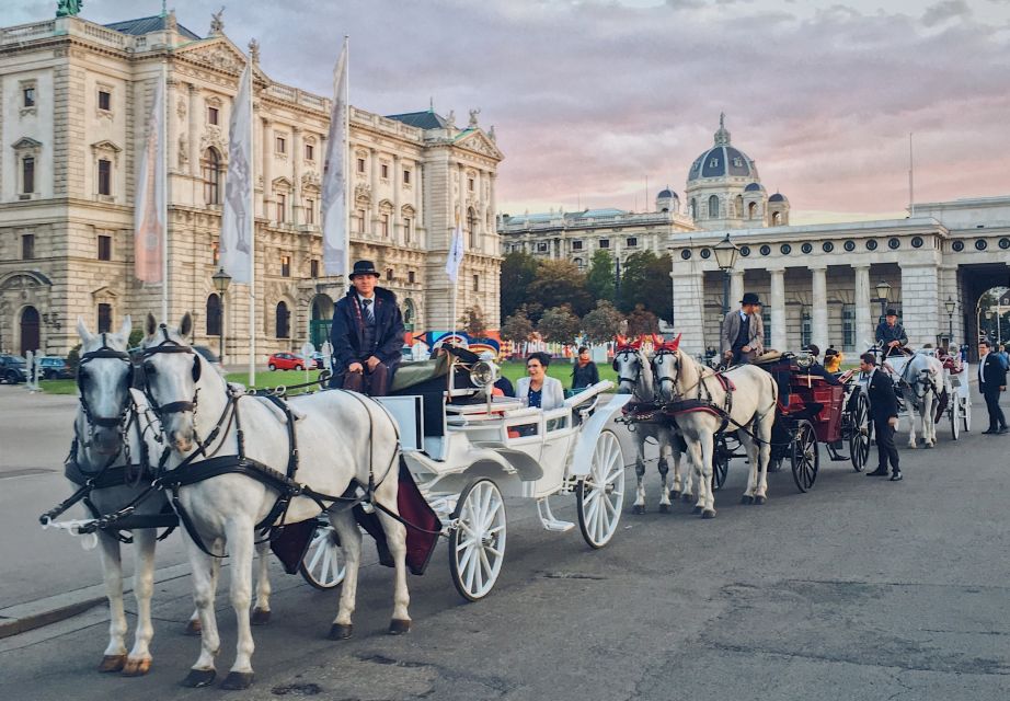 Vienna: 30-Minute Fiaker Ride in the Old Town - Where you meet: St. Stephen’s Cathedral or Michaelerplatz