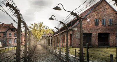 Vienna: Auschwitz Birkenau Full-Day Tour w/ Hotel Transfers - The Ride Matters: air-conditioned comfort and driver help