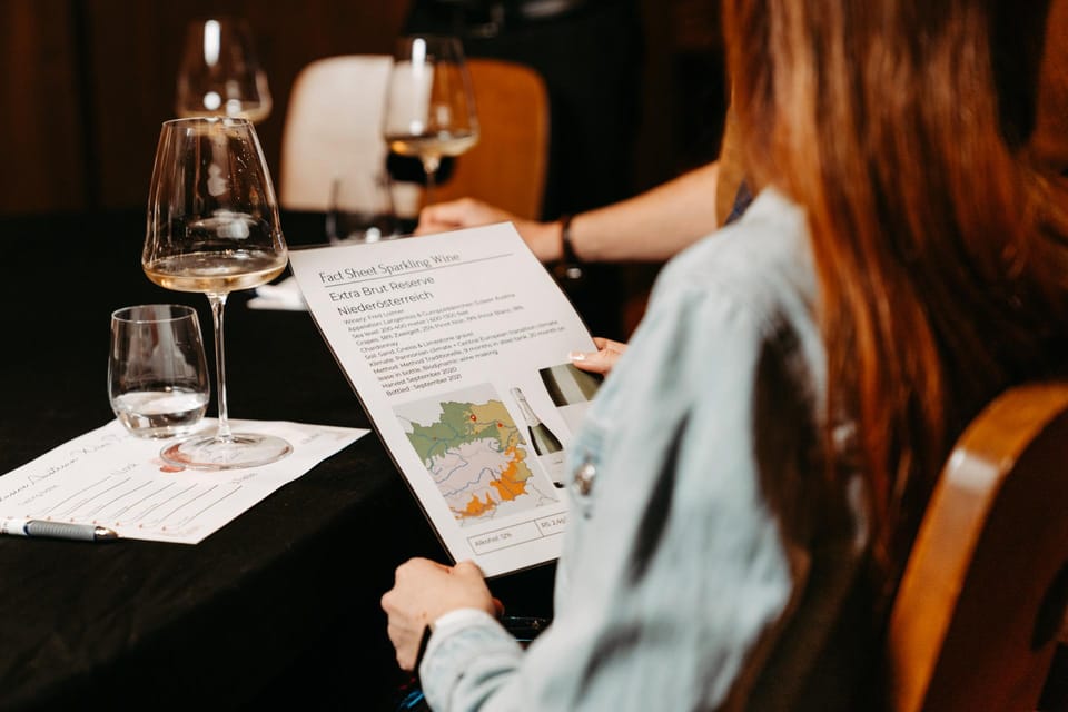 Vienna: Austrian Wine Tasting Evening - Key highlights you’ll actually care about
