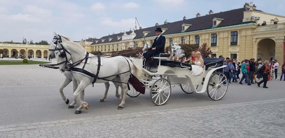 Vienna: Carriage Ride Through Schönbrunn Palace Gardens - Key highlights worth planning for