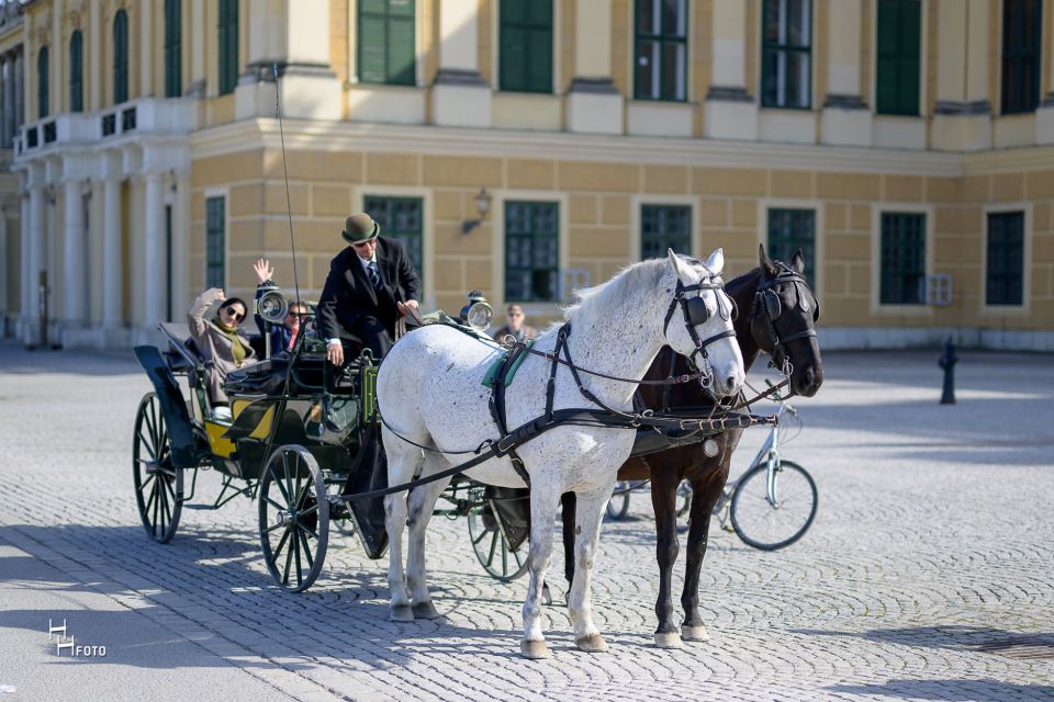 Vienna: Carriage Ride Through Schönbrunn Palace Gardens - Passing the Palm House, Orangerie, and baroque garden landmarks