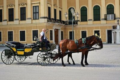 Vienna: Carriage Ride Through Schönbrunn Palace Gardens - The 30-minute plan: what you do, in what order