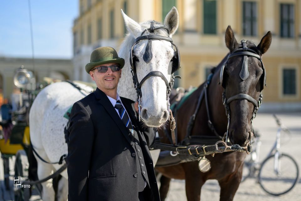 Vienna: Carriage Ride Through Schönbrunn Palace Gardens - Fountains and the Imperial-period details you might miss on foot