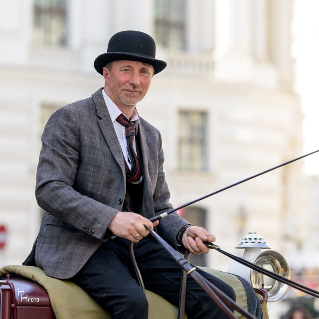 Vienna: Carriage Ride Through Schönbrunn Palace Gardens - What to expect on board: comfort, coverage, and pacing