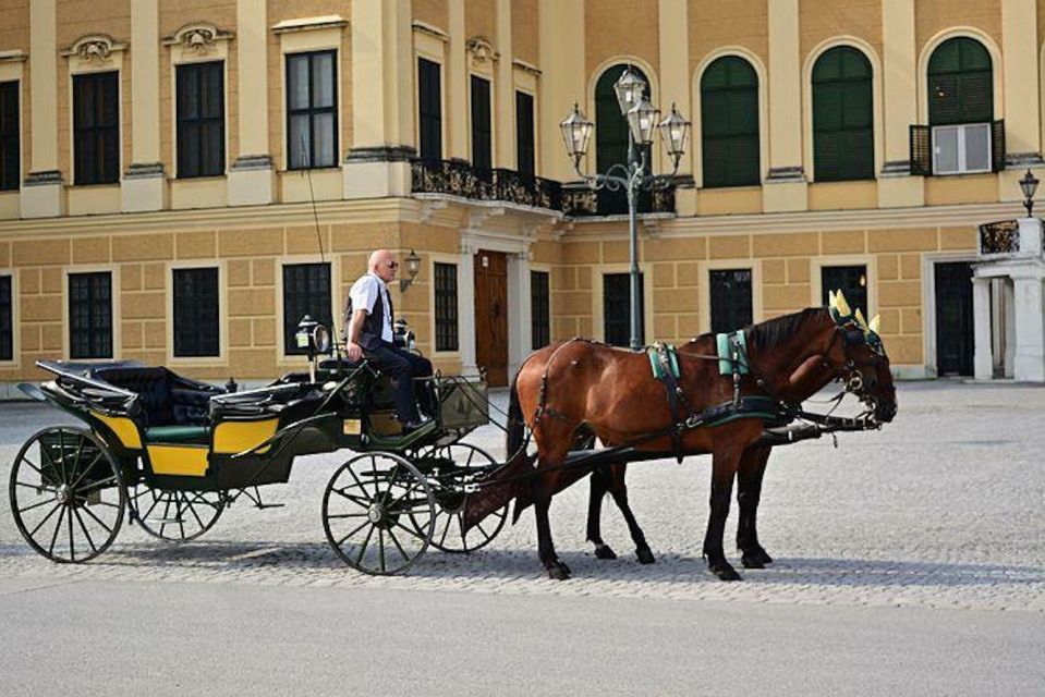 Vienna: Carriage Ride Through Schönbrunn Palace Gardens - The 30-minute plan: what you do, in what order