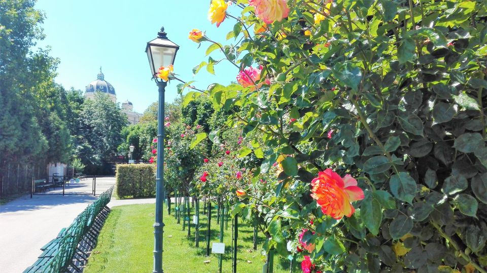 Vienna: City Highlights Guided Walking Tour & Old Town - Historic Center on Foot: Roman to Medieval (Plus Jewish Vienna)