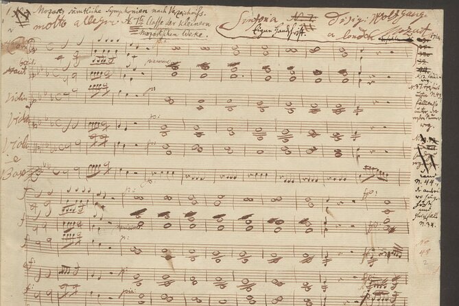 Vienna: City of Music Private Walking Tour - Hofburg and Archduke Rudolph: when patronage met piano