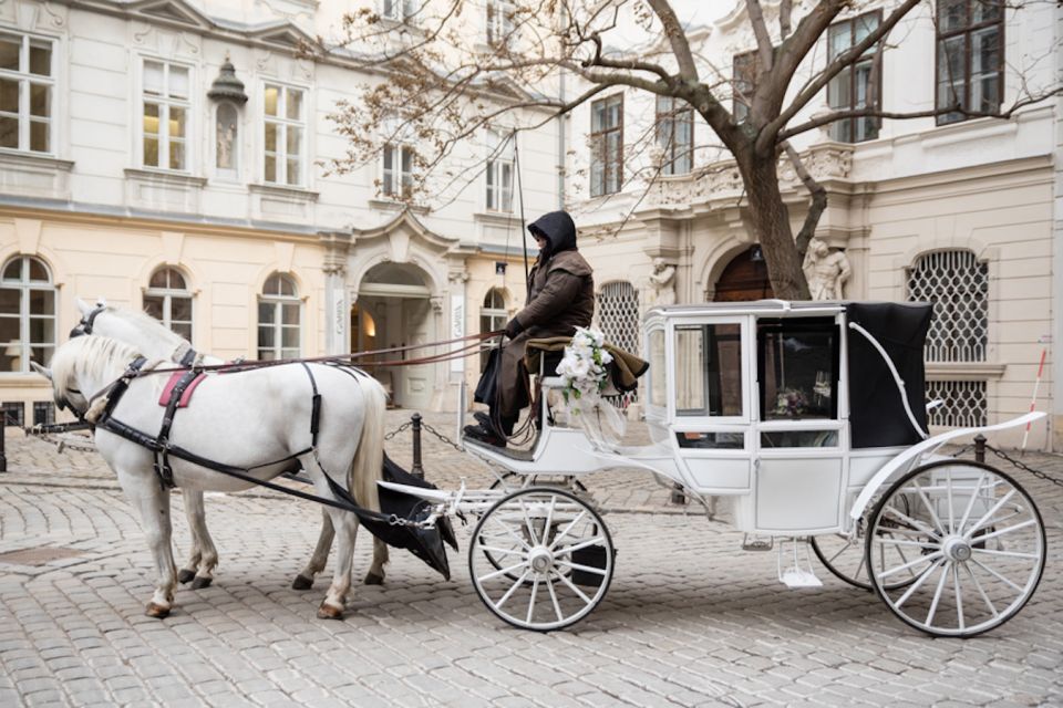 Vienna: Culinary Horse-Drawn Carriage Experience - How the driver storytelling works (and what to do about it)