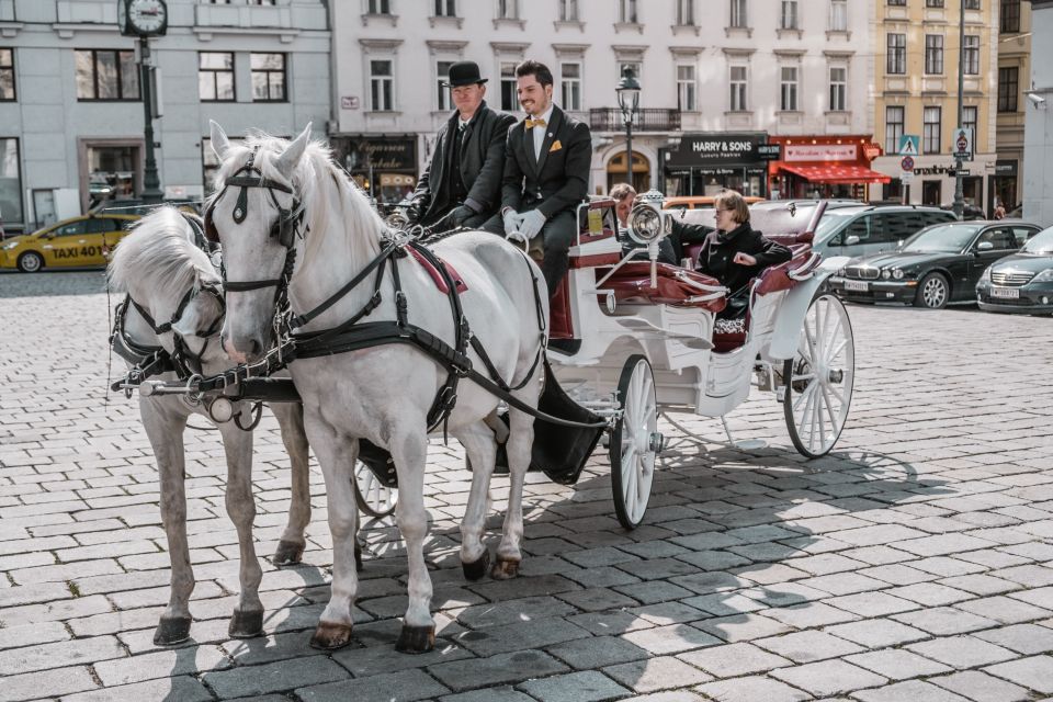 Vienna: Culinary Horse-Drawn Carriage Experience - Time, weather, and the reality of a 40-minute versus 1-hour ride