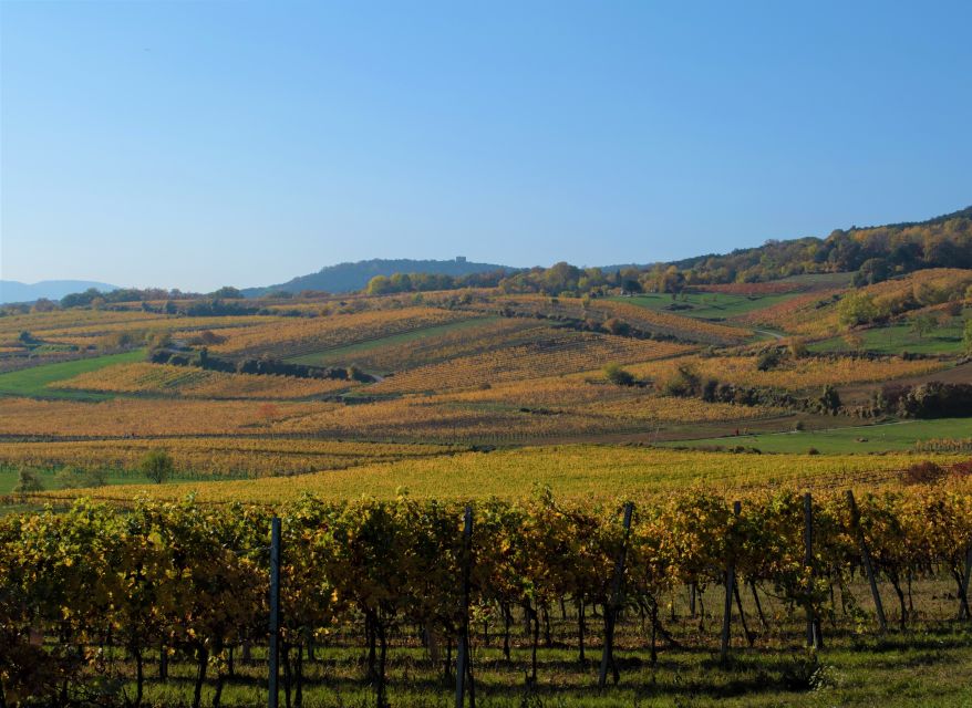 Vienna: Full-Day Vienna Woods Wine Tasting Tour - My Take: Who This Tour Suits Best