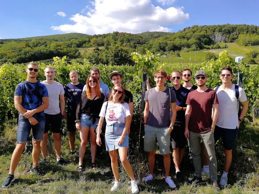 Vienna: Full-Day Vienna Woods Wine Tasting Tour - Price and Value: Is $187 Worth It?
