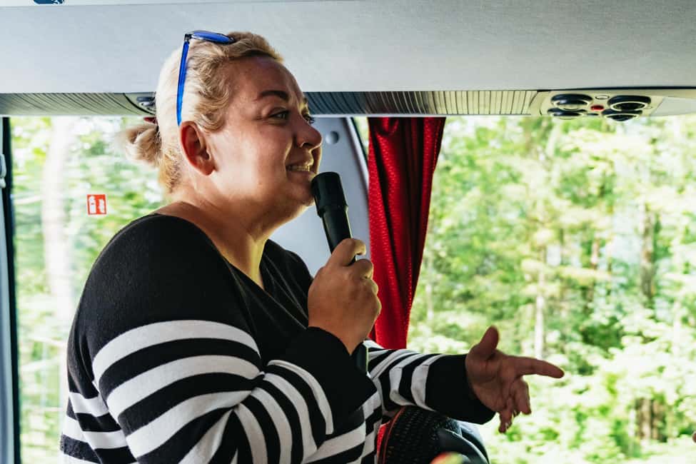 Vienna: Hallstatt & Alpine Peaks Day Trip with Skywalk Lift - On the Bus: Time Management, Breaks, and Real-World Logistics