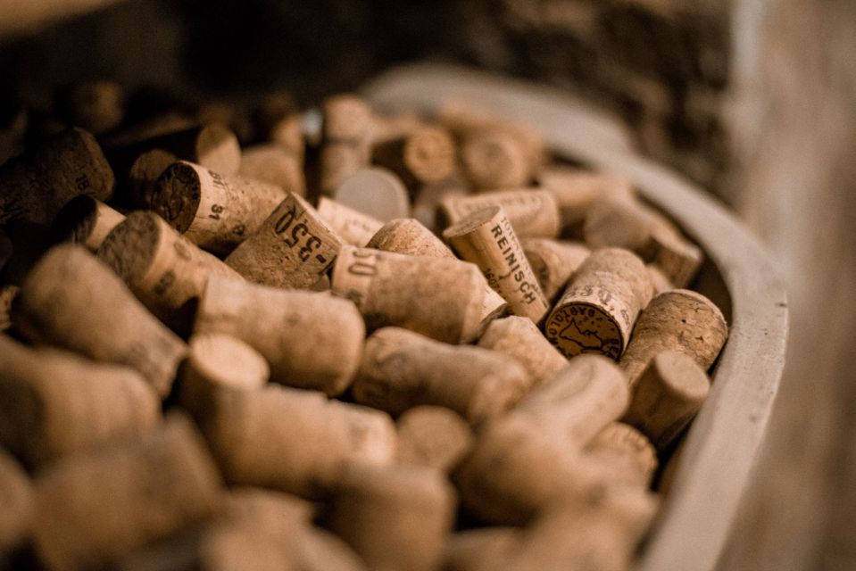 Vienna: Hidden Wine Cellars Tasting Experience - Why Vienna’s cellar tour feels different from a normal tasting