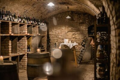 Vienna: Hidden Wine Cellars Tasting Experience - Meeting at Stephansplatz and how the timing usually feels