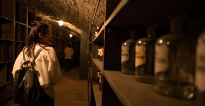 Vienna: Historical Pharmacy Cellar Guided Tour - What You’ll See Underground: Corridors, Shafts, and Medicine Cellar Relics