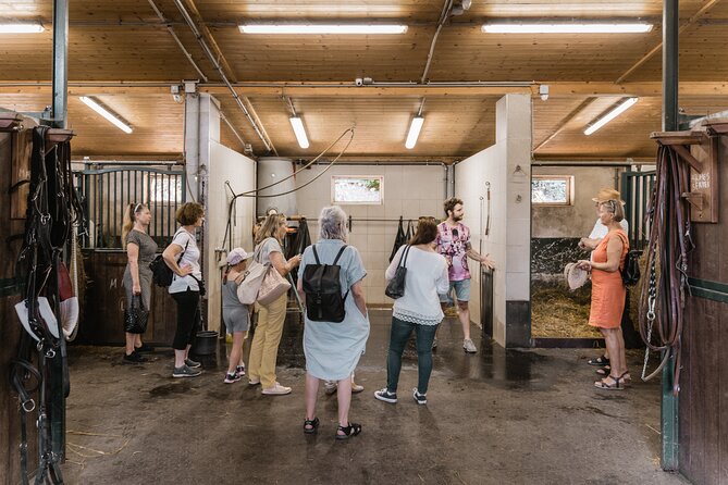 Vienna Horse-drawn Carriage Guided Tour - Fiaker Stables First: where the story actually starts