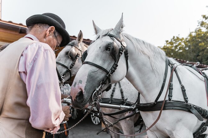 Vienna Horse-drawn Carriage Guided Tour - Stop by Stop: your route from 11th district to the Hofburg
