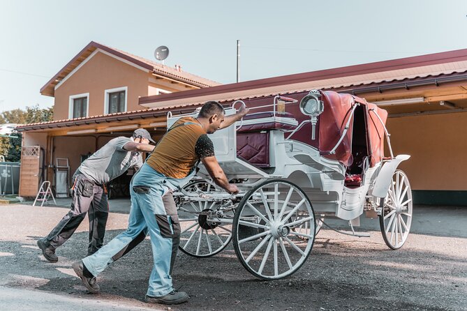 Vienna Horse-drawn Carriage Guided Tour - Price and timing: why $39.16 can still be good value