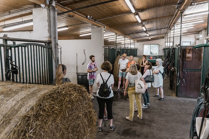 Vienna Horse-drawn Carriage Guided Tour - Who should book this Fiaker carriage tour?