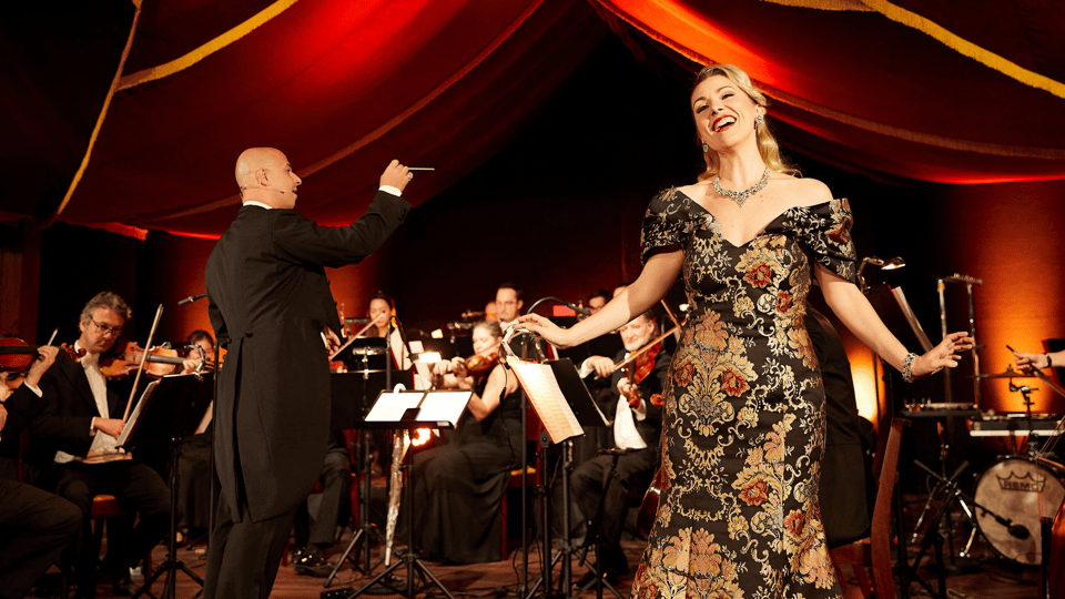 Vienna: Johann Strauss Dinner Show at the Prater - Three acts of Strauss: orchestra, soprano, ballet, and a fun finale