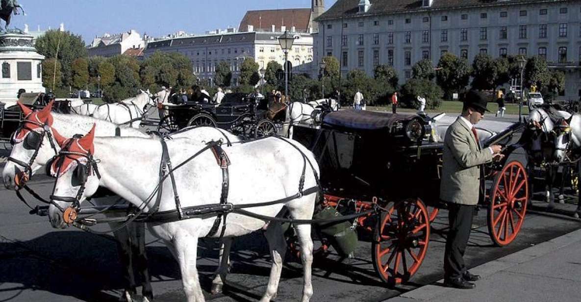 Vienna: Mozart Concert with Dinner and Carriage Ride - Mozart-costumed guide and the 20-minute horse carriage transfer