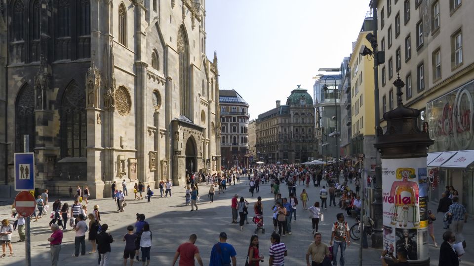 Vienna: Mozart Private Guided Tour - Hofburg, the Column of Pest, and the bigger Vienna context