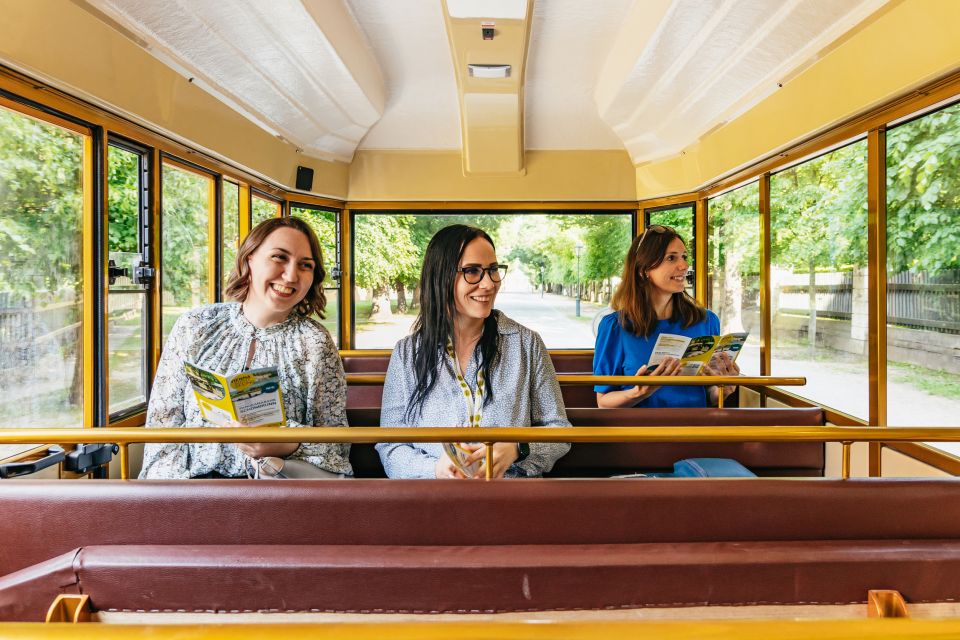 Vienna: Panorama Train Tickets to explore Schönbrunn Palace - Gloriette Hill and the Gloriette viewpoint you should plan around