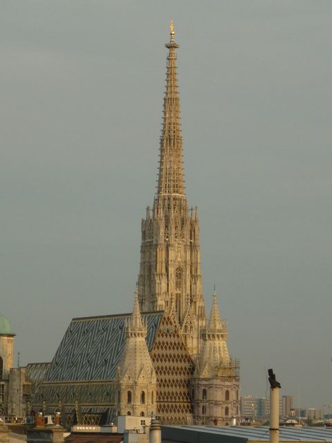 Vienna: Private Guided Walking Tour - Graben and Kohlmarkt to Michaelerplatz Excavations: Street-Level Royalty