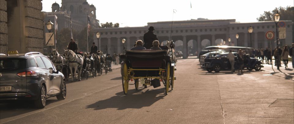 Vienna: Private Walking Tour to The Hofburg & Graben Street - Albertina Square Start: Easy Meeting Point, Big Central Energy